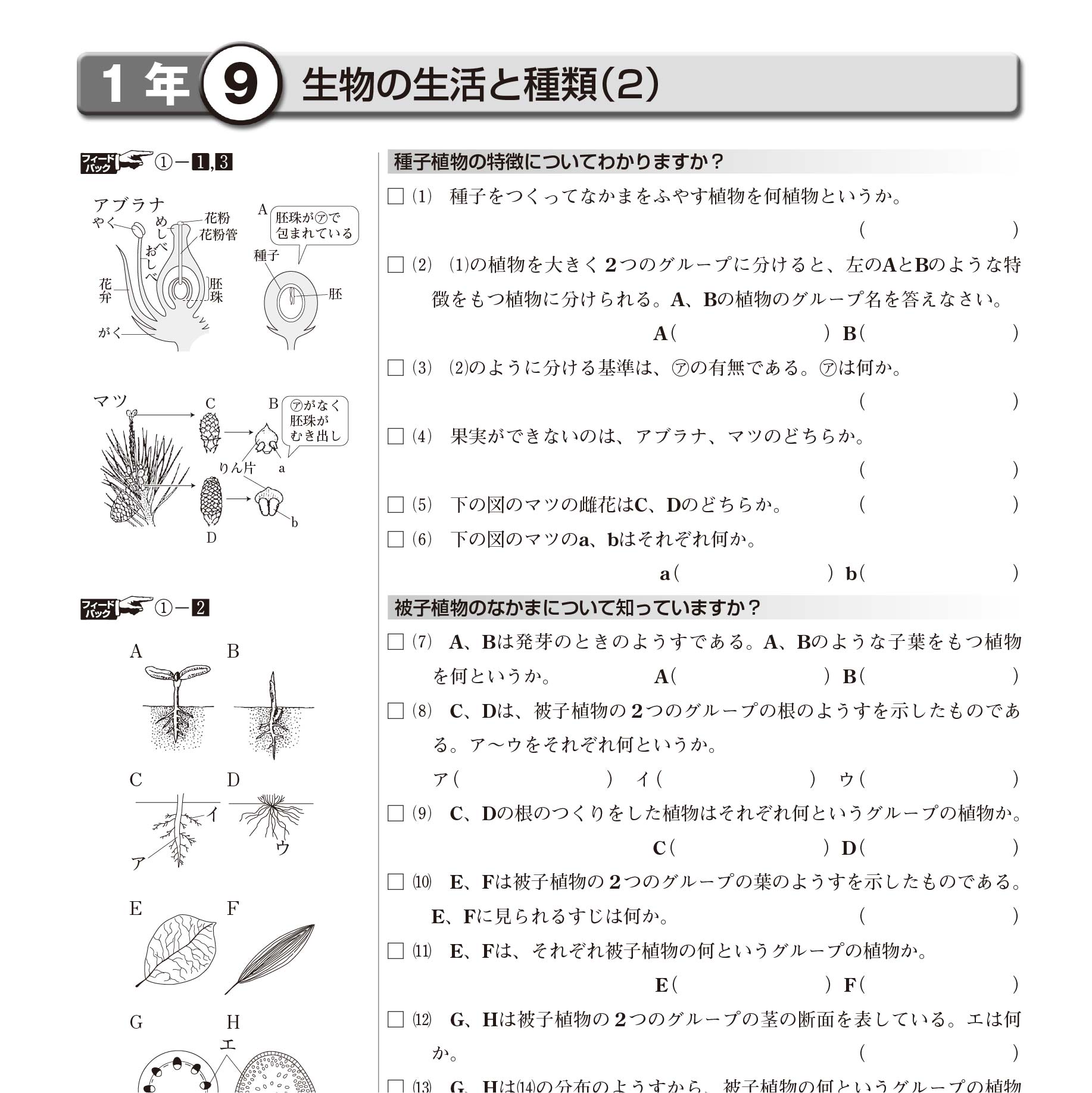 一問一答式で記憶を喚起